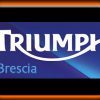 Triumph_block-100x100